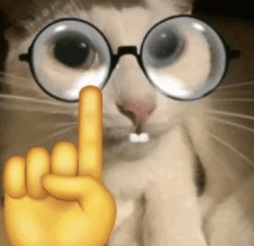 nerd