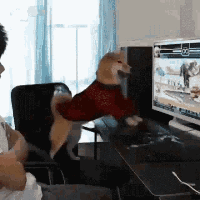 ragedoge
